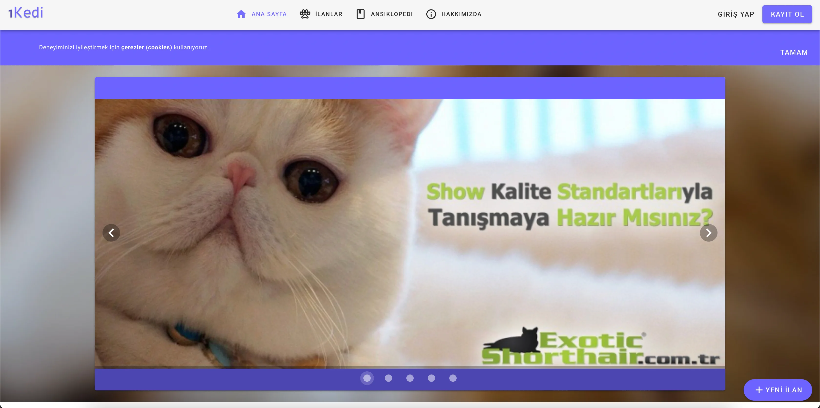 1kedi ekran görüntüsü 1
